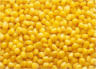 Кукуруза, оптом по цене 15 100 руб./т. в Владивостоке