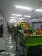 Моечные машины для овощей и плодов в России