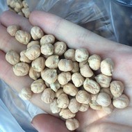 Chickpeas 7 mm