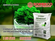      Remediat