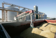 Feed wheat — ports of China