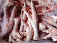 Chicken feet CIF China