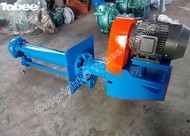 Tobee 40PV-SP Vertical Slurry Pump