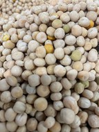 Russian peas in China price